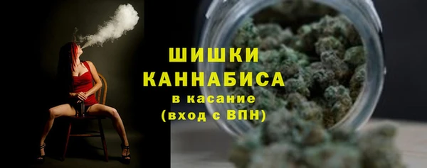mdpv Белокуриха