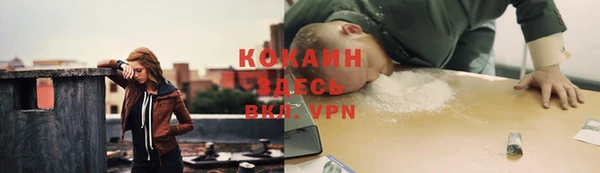 mdpv Белокуриха