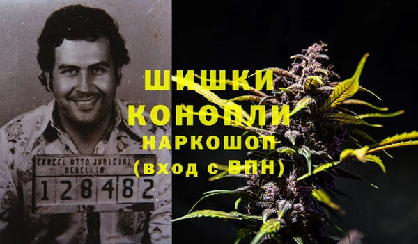 mdpv Белокуриха