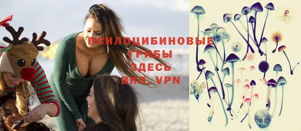 гидропоника Белоозёрский