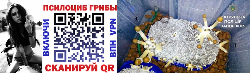 Псилоцибиновые грибы Magic Shrooms магазин продажи мега ТОР Ногинск